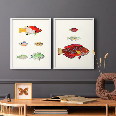 «Colorful Tropical Fish I», reproduction encadrée de qualité supérieure - prête à être accrochée - aucun clou requis - aucun clou requis