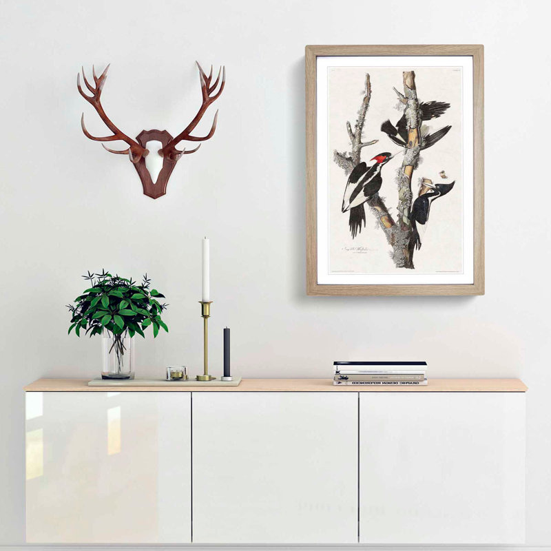 Ivory Billed Woodpeckers by John Audubon - Framed Print, Oak Framed, 65cm H x 48cm W x 2cm D