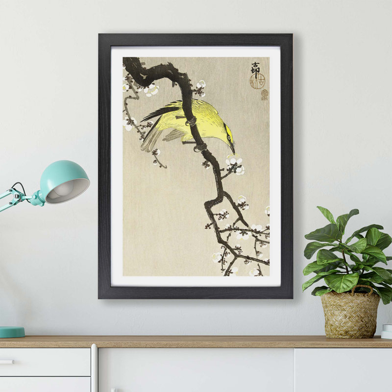 Chinese Oriole Bird on A Plum Blossom by Ohara Koson - Framed Print, 45cm H x 63cm W x 2cm D, Black