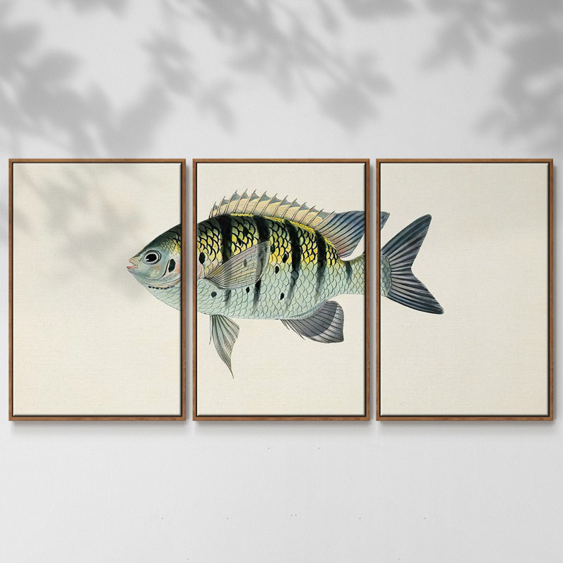 Collection de poissons tropicaux VI 3 pièces, H 36 po x l 75 po x P 2 po, Noyer