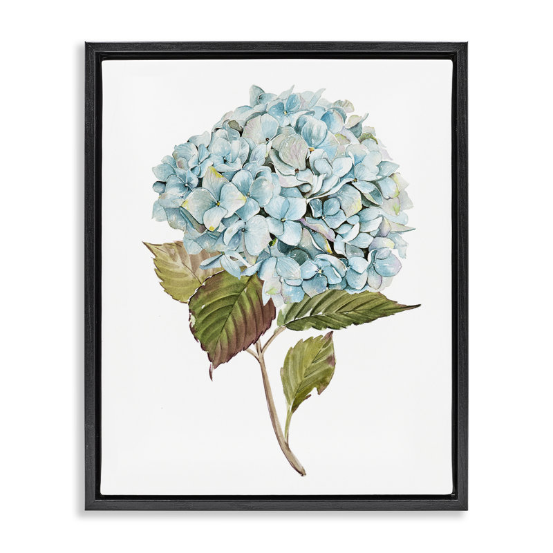 «Simple Hydrangea Bud» par Enya Todd, Cadre flottant noir de jais, H 21 po x l 17 po