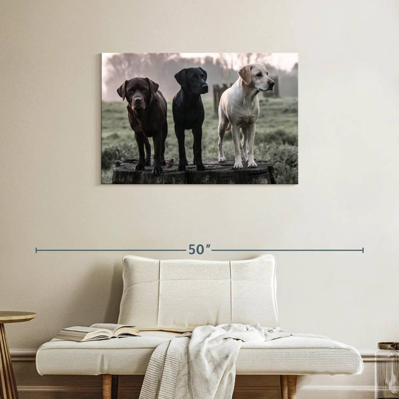 Brampt Labrador Dogs, H 24 po x l 36 po