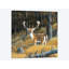 «Beautiful Deer», impression sur toile-29479855-73575596-73575591