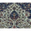 Aryana Wool Oriental Area Rug