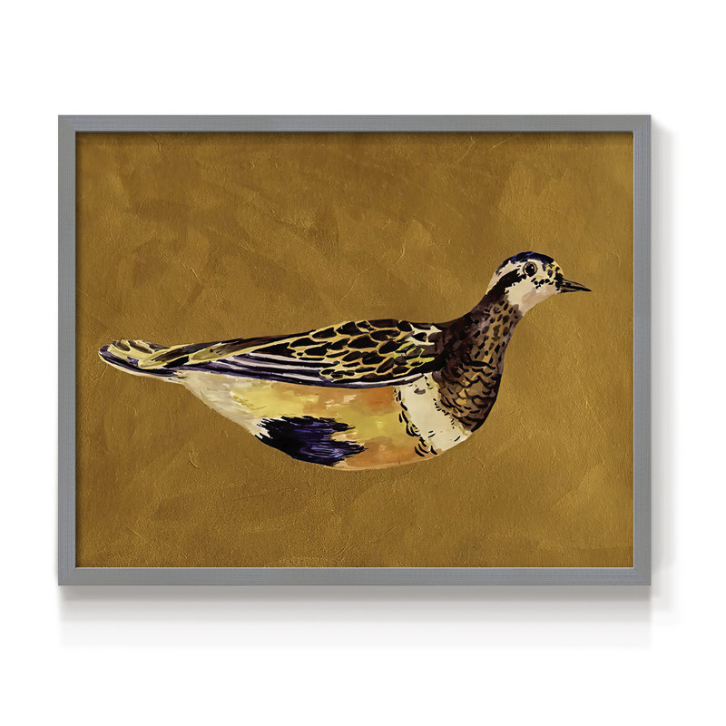 «Feathered Friend II», reproduction encadrée, Gris, H 16 po x l 20 po
