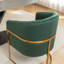 Chaise rembourrée en velours Sistrunk-1801406895