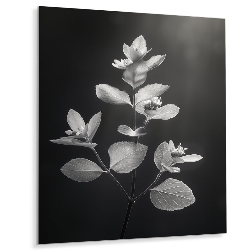 «Elegant Silhouette», gris, monochrome, eucalyptus II - Eucalyptus, art mural, Métal métal, H 32 po x l 16 po x P 1 po
