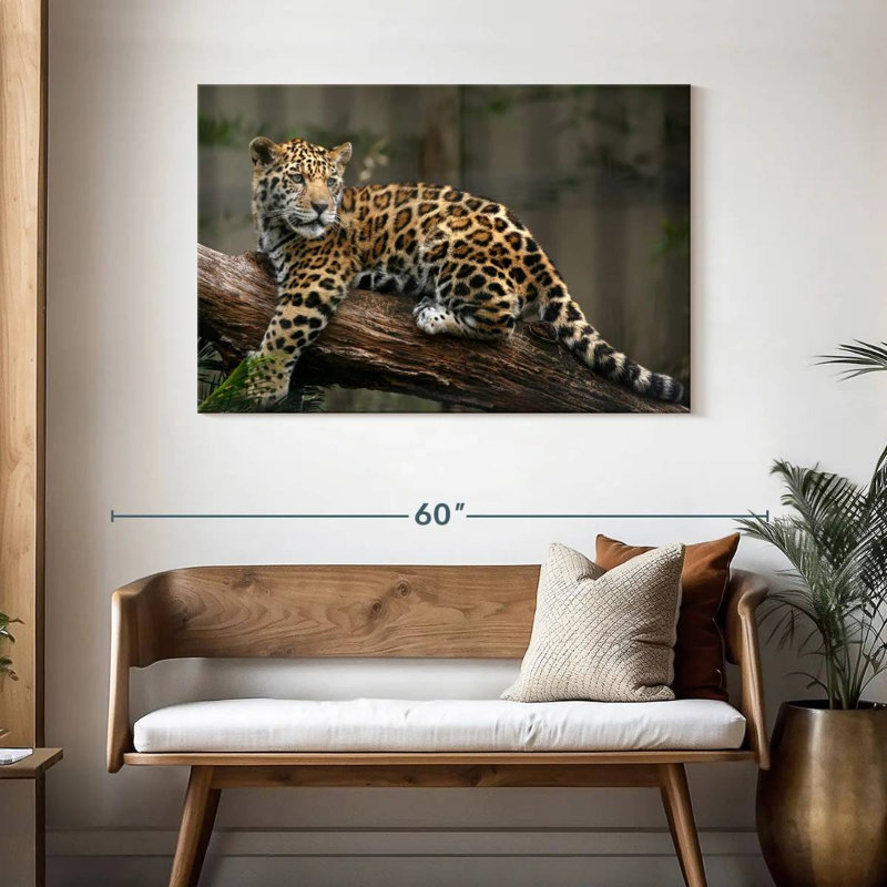 Regard de bébé jaguar Brampt, H 30 po x l 45 po
