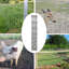 10.2cm H x 833.1cm W Silver Steel Border Fencing