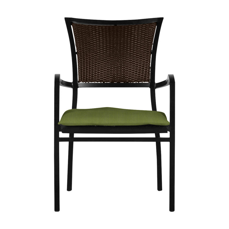 Aire Arm Chair - Ancient Earth/Black Walnut, Aire #2 Ancient Earth/Black Walnut, No Welt, Linen Forest