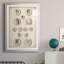 Antique Roman Coins I, impression encadrée sur papier-424134878-424134875