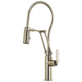 Litze® Pull Down Single Handle Kitchen Faucet with MagneDock® Technology and with Accessories