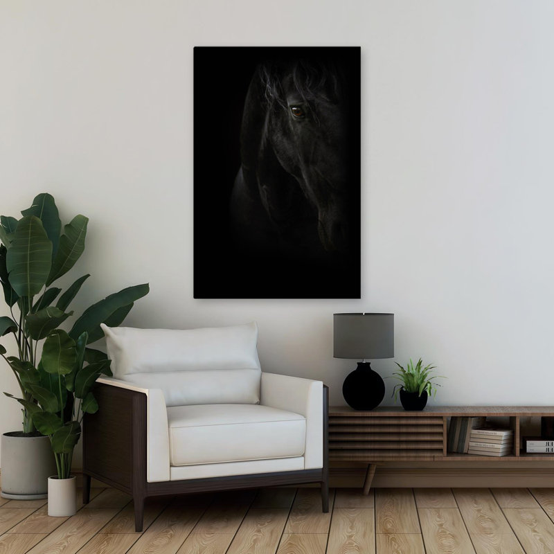 Perle noire - photographie, animaux, chevaux, H 36 po x l 24 po