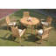 Rickey Outdoor 5 - Piece Teak Dining Set-995160491-1069061832