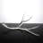 Clear Antlers (Set of 2)
