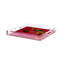 Family Pheasants Acrylic Square Decorative Tray-1414699910-1459597822