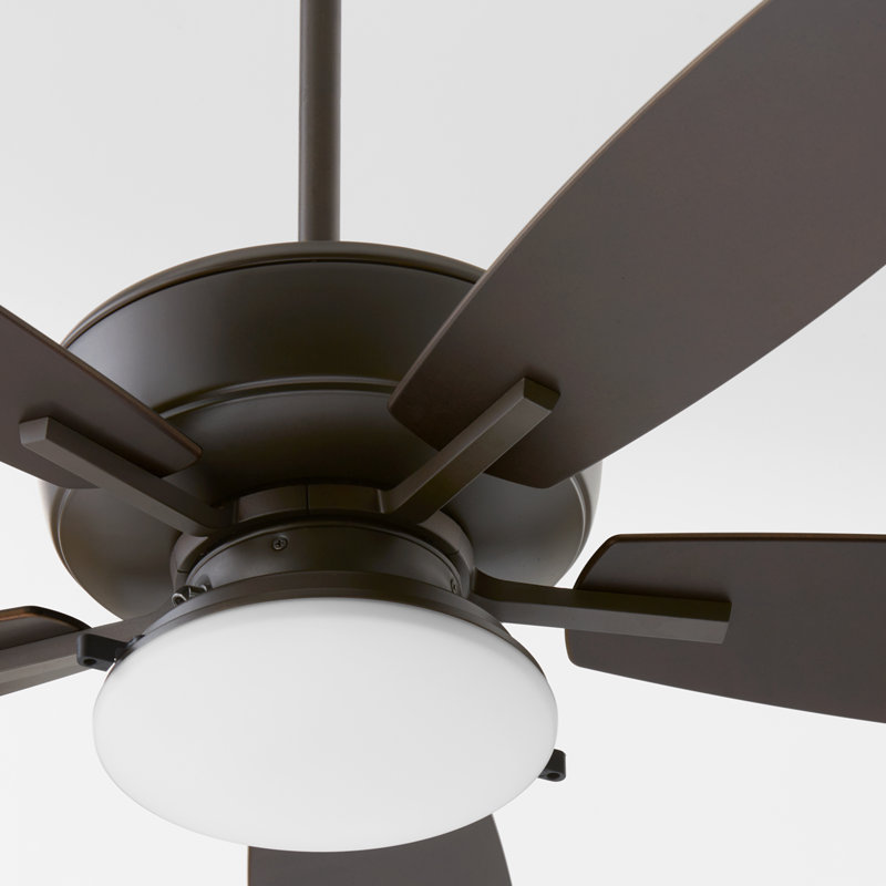 Braylie 52'' Ceiling Fan with LED Lights, Brown
