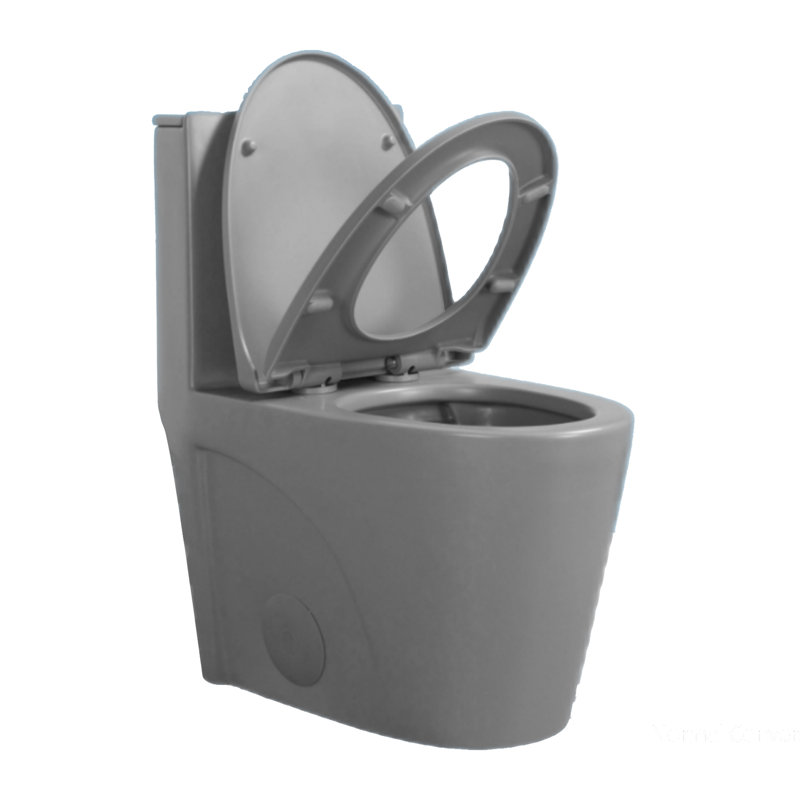 Toilette compacte à une pièce avec toilette encastrée haute efficacité Liberty, Gris glacé