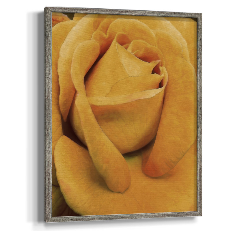 «Soft Flower Petals IV», reproduction encadrée - bois massif, H 21 po x l 17 po