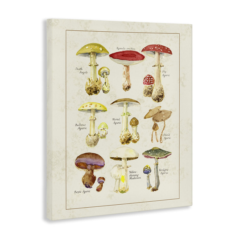 Diverses toiles de champignons, conception de Tina Higgins Designs Inc., H 20 po x l 16 po
