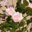 Rosier artificiel en pot Adcock Premium-54968080-54968083