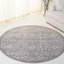 Oriental Area Rug in Grey / Ivory-1755028841