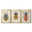 Beetle Bug I - Toile tendue avec châssis sur mesure - 3 pièces-702383952-702383953