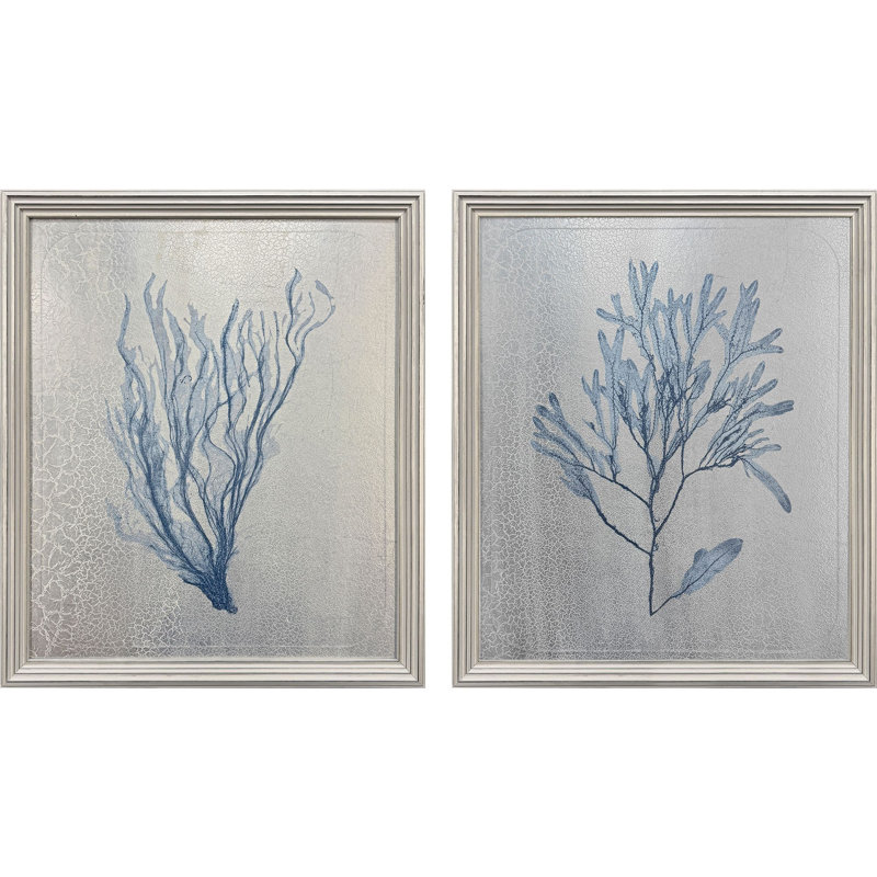 «Oceanic Curiosity II», art encadré