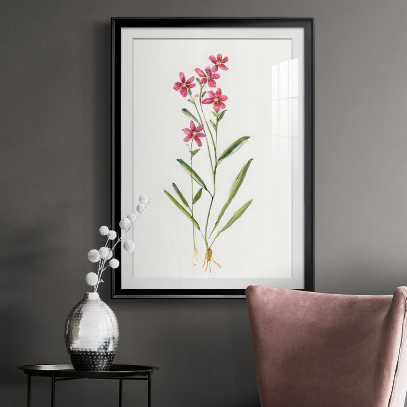 Delicate Pink II - peinture encadrée, H 30,5 po x l 42,5 po x P 1,5 po, Noir