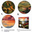 «Green Orange Vineyard Rows Of Ruby I», reproduction sur toile-404969175-404969177