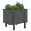 Meenakshi Wood Raised Garden Bed-1774958725-1774958731-1774958768