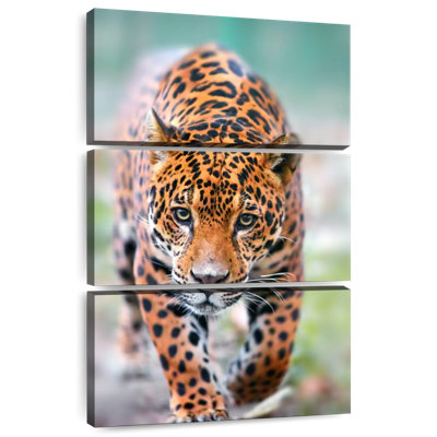 Brampt Jaguar Walk