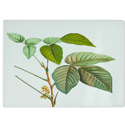 Tempered Glass Poison Ivy by Pierre-Joseph Redoute Chopping Board