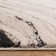 Decara Quartz Abstract High-Low Beige Area Rug