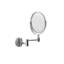 Britannia Metal Flat Wall Mirror