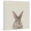 «Bunny Surprise», reproduction sur toile encadrée-781497920