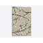 «Neutral Cherry Blossoms I», reproduction sur toile-32864571-72221223-72221224