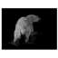 'Polar Bear Portrait' Acrylic Painting Print on Wrapped Canvas-30364357