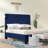 Kayden Upholstered Standard Bed-24049064-24049067