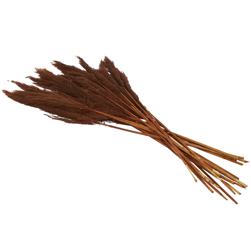 Dried Plant Grass Pampas Decor Natural Foliage with Long Stems, Copper