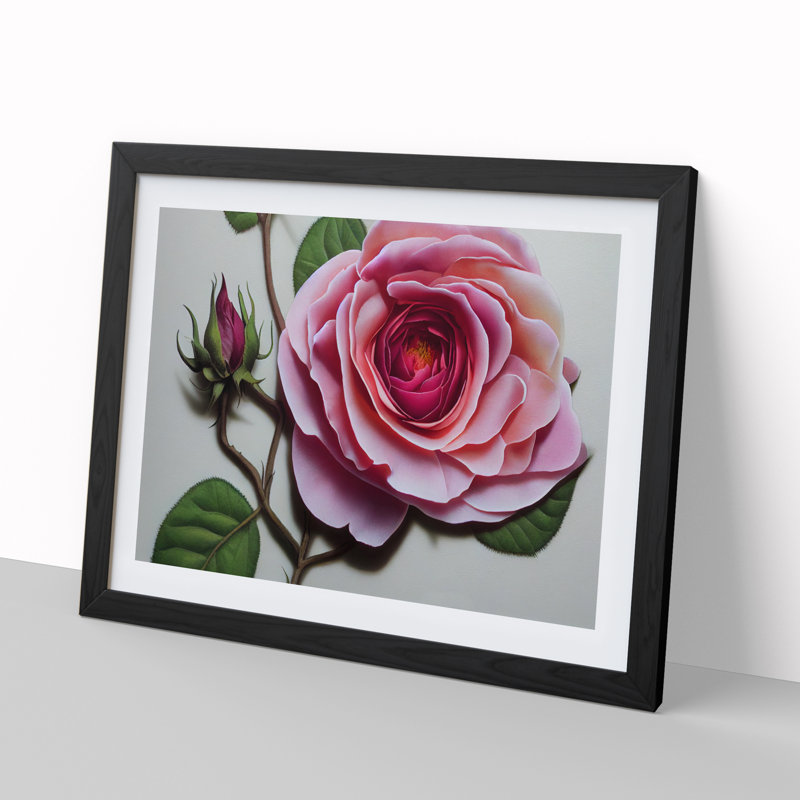 Extraordinary Rose Flower - Framed Print, Black, 34cm H x 46cm W x 2cm D