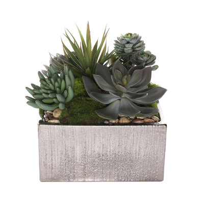 11'' Faux Succulent in Square Etched Pot