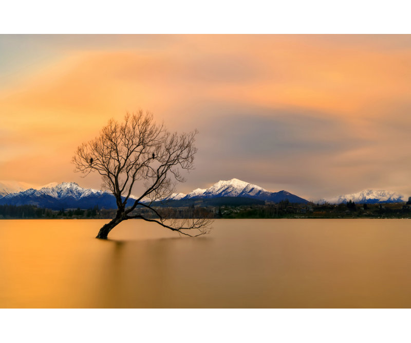 Wrapped Canvas Print, 60.96 cm H x 91.44 cm W