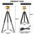 Michael 55" Tripod Floor Lamp