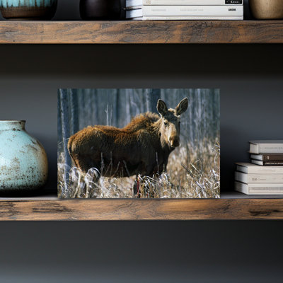 Jeune orignal à l'orée d'une forêt. Art mural abstrait abstrait taureau forêt d'automne