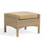 Harpersfield Outdoor Ottoman