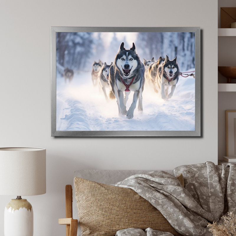 «Alaska Dog Sledding II», reproduction sur toile, H 16 po x l 32 po x P 1 po, Cadre photo argenté