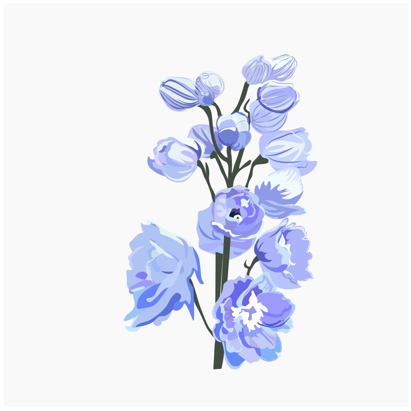 Bassirou Vector Of Delphinium - Wrapped Canvas Print, 30cm H x 30cm W x 3.8cm D