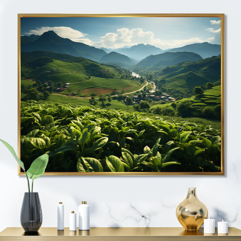 Plantation de thé thaïlandais, Cadre flottant doré, H 12 po x l 20 po x P 1 po