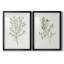 Reproduction encadrée de qualité supérieure simple Sprig III - prête à être accrochée-756675089-756675090